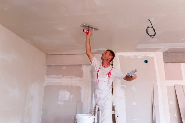 Best Drywall Installation  in Scenic, AZ